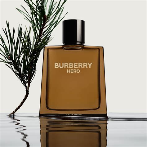 best Burberry fragrance for men